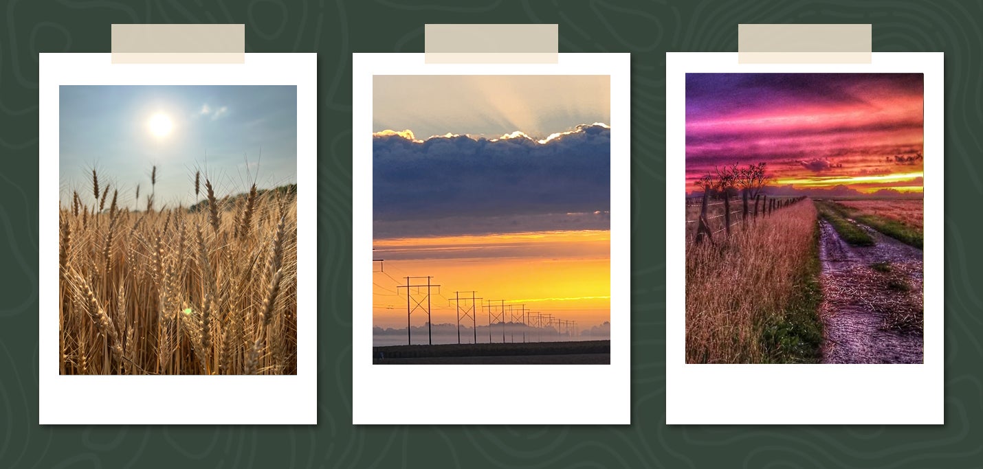 2025 photo contest